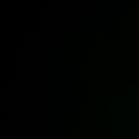 Meet your Posher, Alexia - Picture 1 of 1